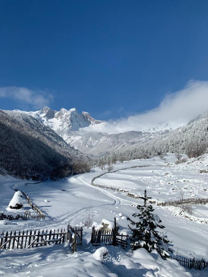 Guesthouse Rosi Kukaj Bagian luar foto